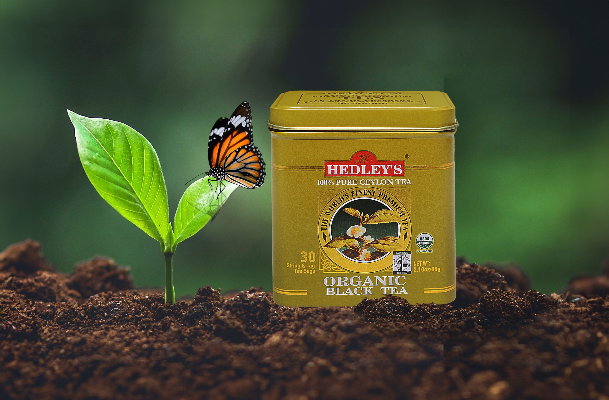 hedley Tea