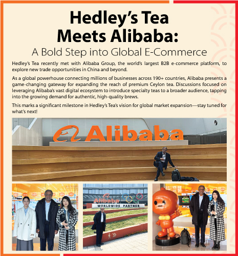 hedley Tea