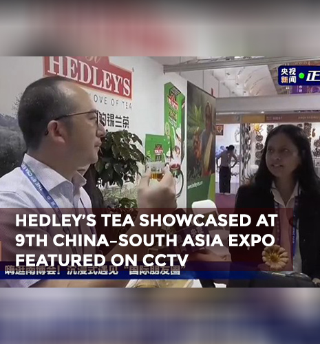 hedley Tea