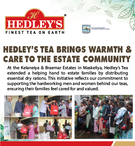 hedley Tea